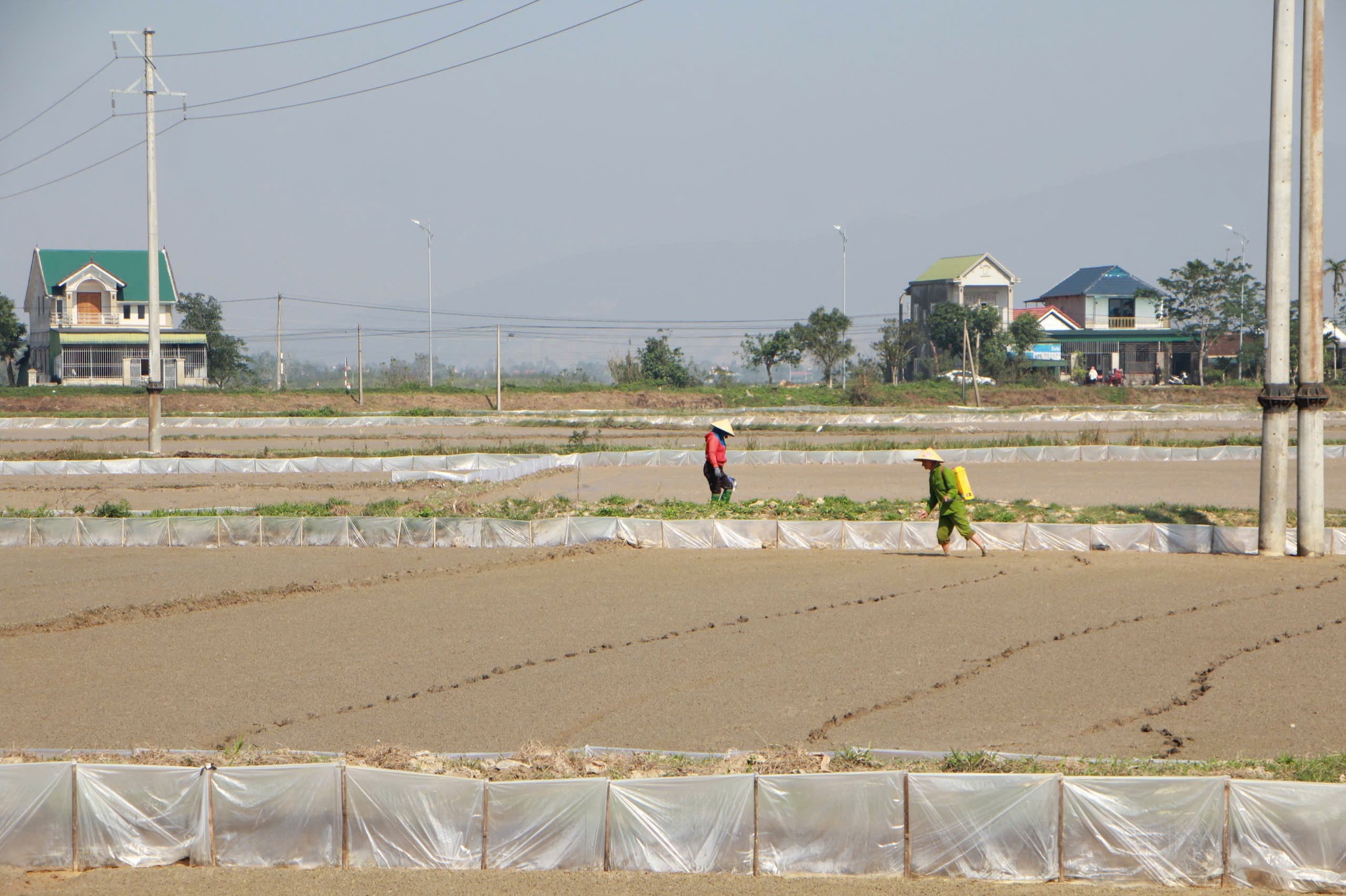 BÀ CON NÔNG DÂN XÃ CAN LỘC TẬP TRUNG XUỐNG ĐỒNG GIEO CẤY VỤ XUÂN 2026